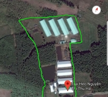 Bán 7.6ha trang trại nuôi 10.000 con heo H. Lộc Ninh Bình Phuớc giá 33 tỷ đct 450 tr/th